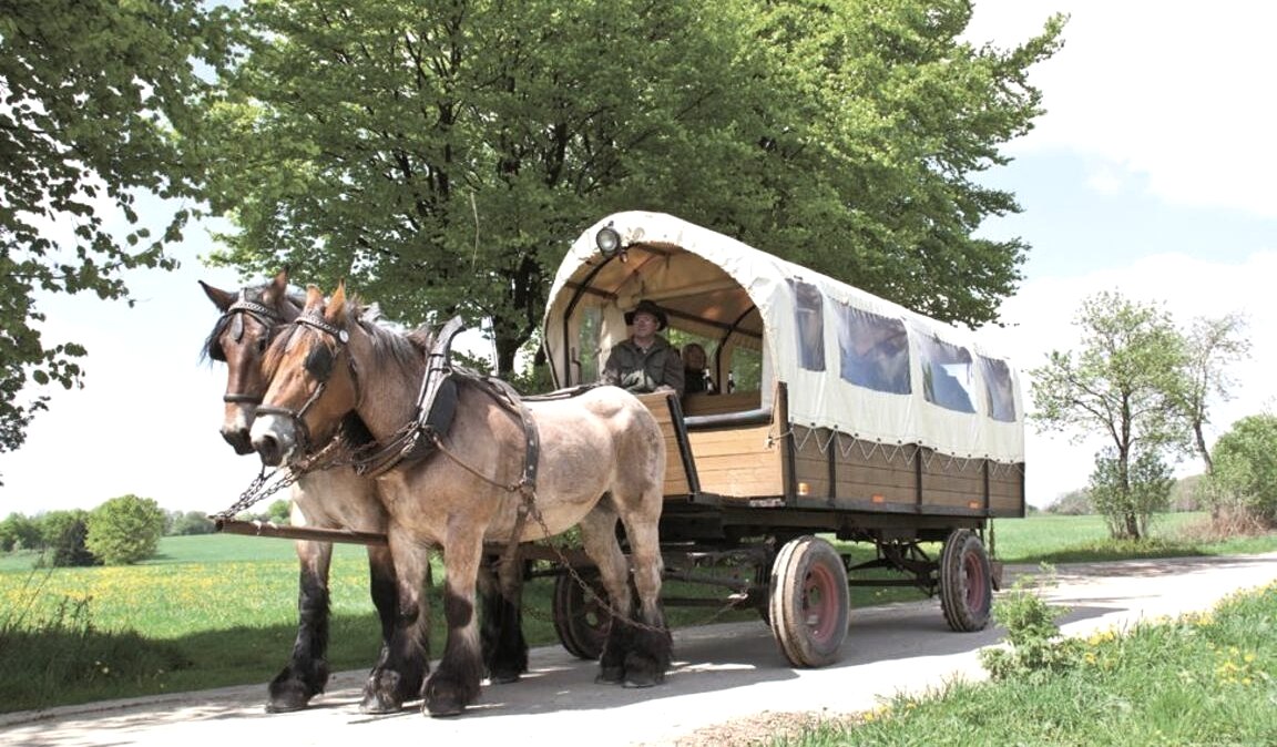 Planwagenfahrten Ungermann, © Gottfried Carls Planwagenfahrten Ungermann, © Gottfried Carls