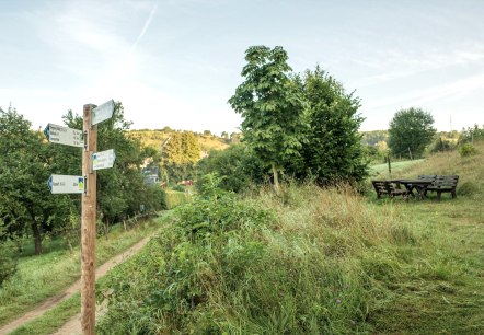 Wanderwege im Lampertstal, © Paul Meixner Wanderwege im Lampertstal, © Paul Meixner