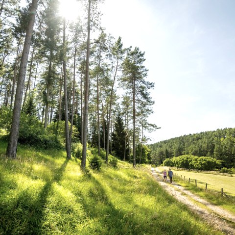 Wandern im Lampertstal, © Eifel Tourismus GmbH - Dominik Ketz Wandern im Lampertstal, © Eifel Tourismus GmbH - Dominik Ketz