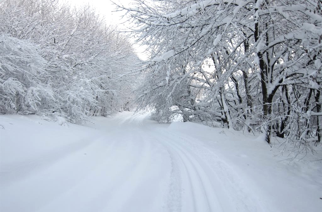 Loipe, © Günter Scheidt Loipe, © Günter Scheidt