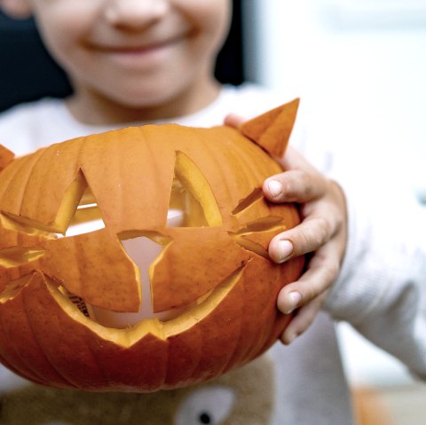 Kürbis schnitzen, © Freepik Kürbis schnitzen, © Freepik