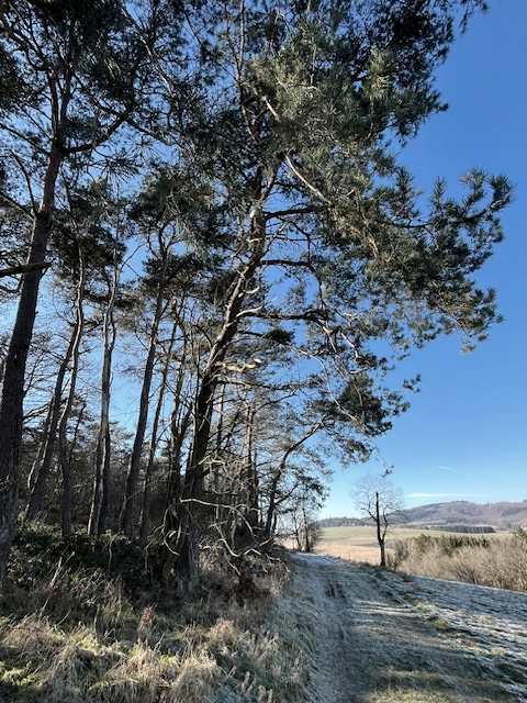 Heimatflimmern Wandermarathon, © Sabine Sistig Heimatflimmern Wandermarathon, © Sabine Sistig