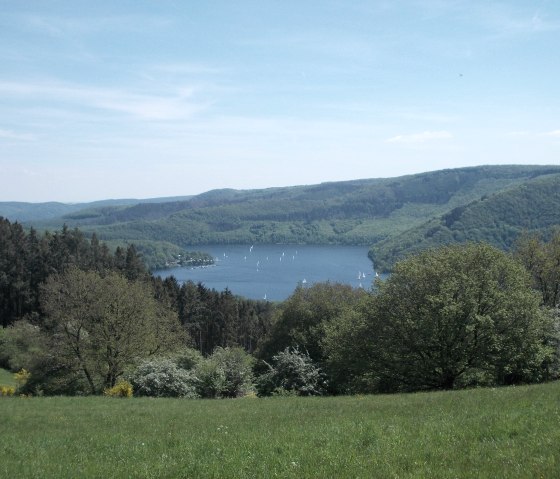View of the Rursee, © Eifel heimisch View of the Rursee, © Eifel heimisch