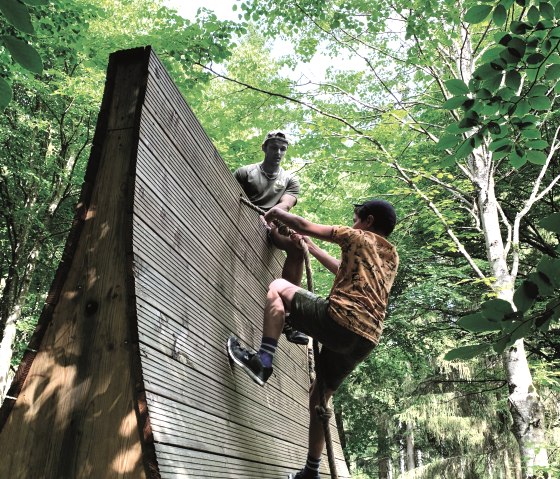 ┬®ARBORETUM_13, © ┬®ARBORETUM_13 ┬®ARBORETUM_13, © ┬®ARBORETUM_13