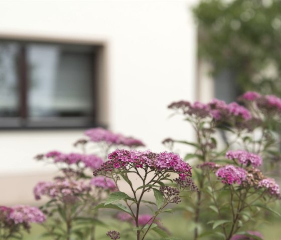 Aussen_Detail, © Stefanie Laville & Nordeifel Tourismus GmbH Aussen_Detail, © Stefanie Laville & Nordeifel Tourismus GmbH