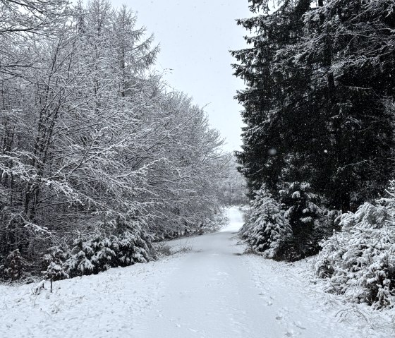 Winter Landscape, © C. Wolter Winter Landscape, © C. Wolter