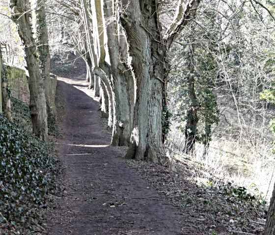 Vorbei an der Burg Nideggen, © Karl-Heinz Rosenzweig, Der-eifelyeti.de, © Der-eifelyeti.de Vorbei an der Burg Nideggen, © Karl-Heinz Rosenzweig, Der-eifelyeti.de, © Der-eifelyeti.de