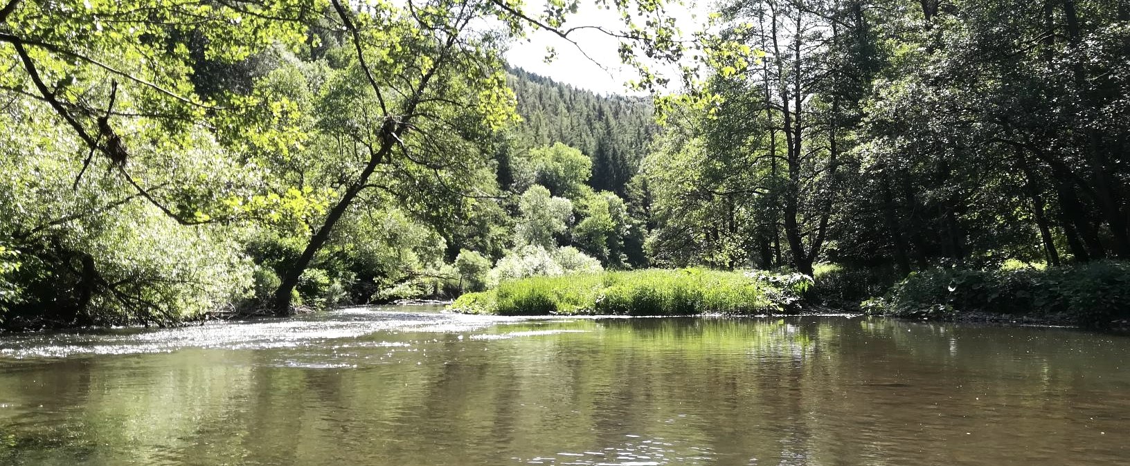 Kyll bei Fließem, © Marc Leinen Kyll bei Fließem, © Marc Leinen