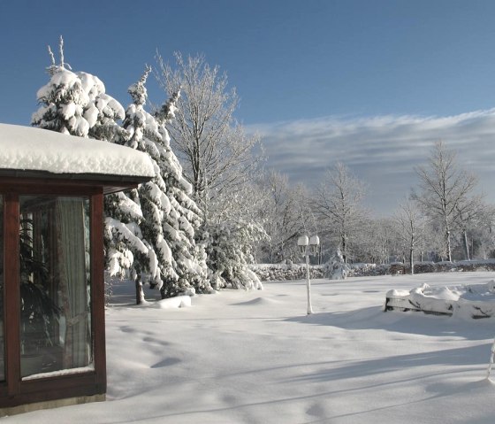 Winter 11 Garten bIMG_4427 Winter 11 Garten bIMG_4427