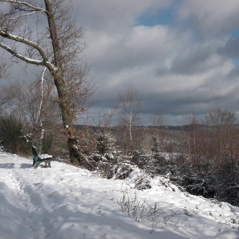 Winterlandschaft, © Eifel heimisch Winterlandschaft, © Eifel heimisch