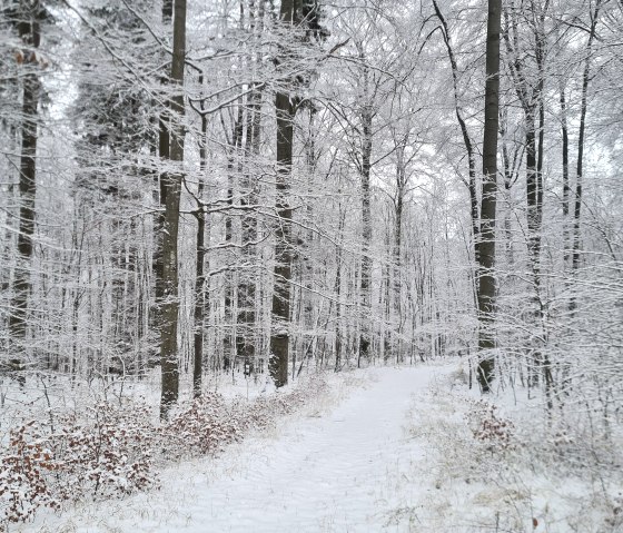 Winterbild Winterbild