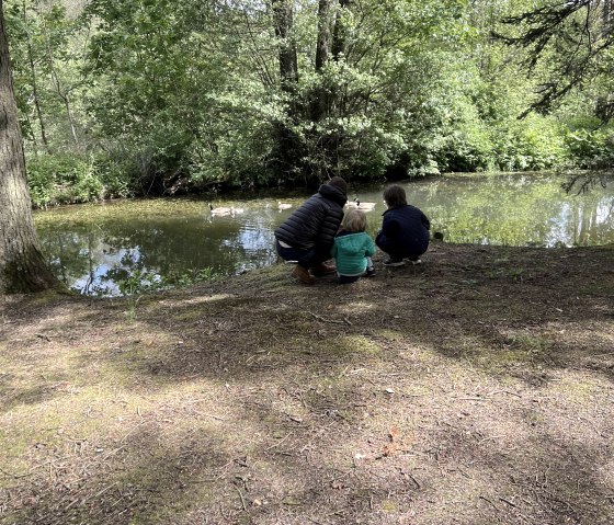 Wanderung mit Kids 2, © Nordeifel Tourismus GmbH & L´Extravagante Wanderung mit Kids 2, © Nordeifel Tourismus GmbH & L´Extravagante