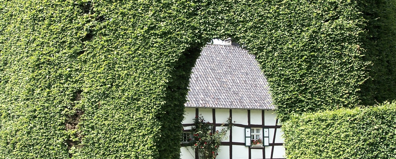 Haushecke Haushecke