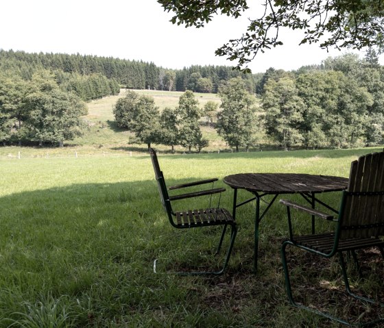 Rastplatz mit Holztisch und Stühlen auf einer Wiese, umgeben von Bäumen, mit Blick auf bewaldete Hügel., © Nordeifel Tourismus GmbH Rastplatz mit Holztisch und Stühlen auf einer Wiese, umgeben von Bäumen, mit Blick auf bewaldete Hügel., © Nordeifel Tourismus GmbH