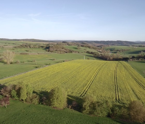 View 1 View 1