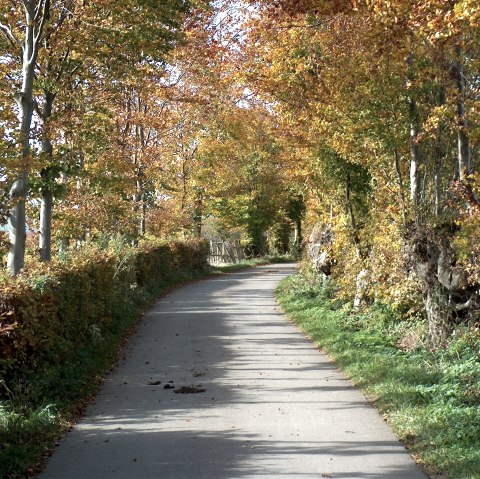 Flurheckenweg Eicherscheid, © Rursee-Touristik GmbH Flurheckenweg Eicherscheid, © Rursee-Touristik GmbH