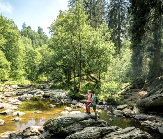 Entlang der Rur, © Eifel Tourismus GmbH, Dominik Ketz Entlang der Rur, © Eifel Tourismus GmbH, Dominik Ketz