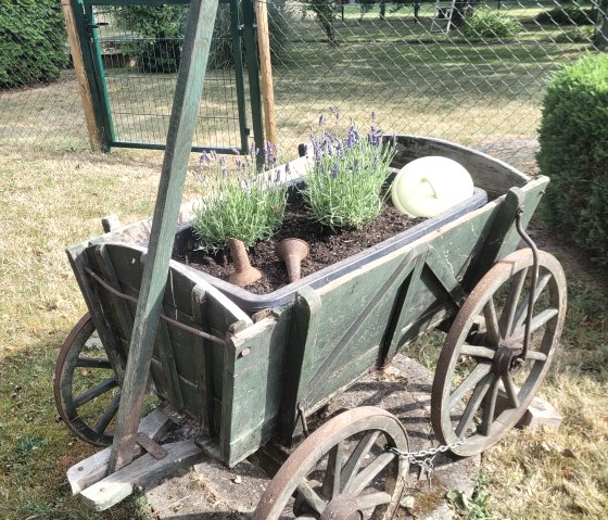 20230720_093617 (1), © Annette Rosen-Roevenich & Nordeifel Tourismus GmbH 20230720_093617 (1), © Annette Rosen-Roevenich & Nordeifel Tourismus GmbH