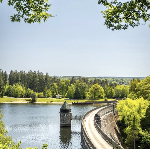 Dreilägerbach dam, © Eifel Tourismus GmbH, Dominik Ketz Dreilägerbach dam, © Eifel Tourismus GmbH, Dominik Ketz