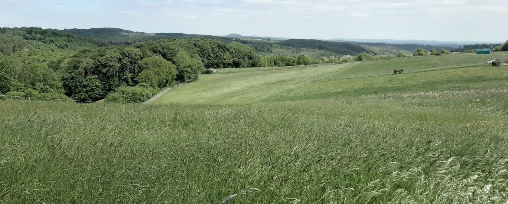 Eifel-Blick Nonnenbacher Weg, © Gemeinde Blankenheim Eifel-Blick Nonnenbacher Weg, © Gemeinde Blankenheim