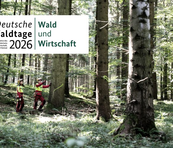 Forest Days 2026, © Fürst Wallerstein Forstbetriebe Forest Days 2026, © Fürst Wallerstein Forstbetriebe