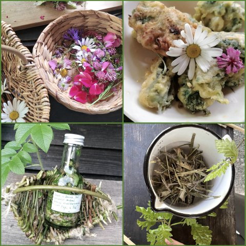 Wildkräuter intensiv, © Wildnistraining.de Wildkräuter intensiv, © Wildnistraining.de