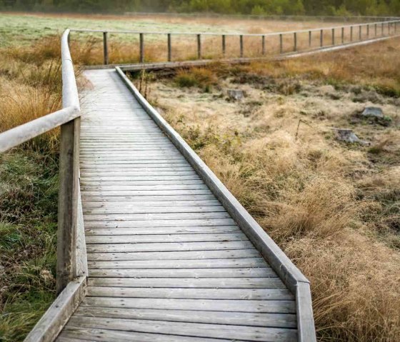 Moorgebiet, © Paul Meixner Moorgebiet, © Paul Meixner