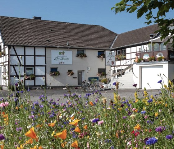 Zur Buche Farm Zur Buche Farm