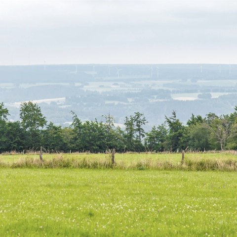 Aussicht vom Eifel-Blick Steling, © Eifel Tourismus GmbH, AR-shapefruit AG Aussicht vom Eifel-Blick Steling, © Eifel Tourismus GmbH, AR-shapefruit AG