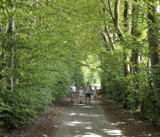 Flurheckenweg Eicherscheid, © Eifel Tourismus GmbH, Tobias Vollmer Flurheckenweg Eicherscheid, © Eifel Tourismus GmbH, Tobias Vollmer
