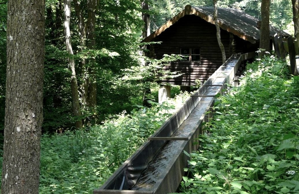 Historische Sägemühle Rohren im Kluckbachtal, © Monschau-Touristik GmbH Historische Sägemühle Rohren im Kluckbachtal, © Monschau-Touristik GmbH