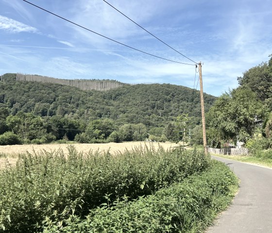 IMG_2293, © Rureifel-Tourismus e.V., Michelle Wiesen IMG_2293, © Rureifel-Tourismus e.V., Michelle Wiesen