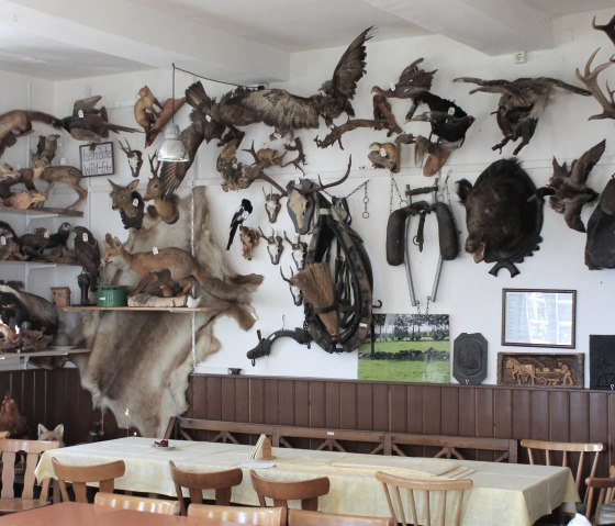 Trophäen in der Uraalt Scholl, © Heimatverein Mützenicht Trophäen in der Uraalt Scholl, © Heimatverein Mützenicht