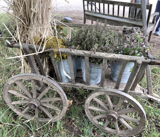 Handcart with Herbs, © LVR-Freilichtmuseum Kommern - Hans Theo Gerhards Handcart with Herbs, © LVR-Freilichtmuseum Kommern - Hans Theo Gerhards