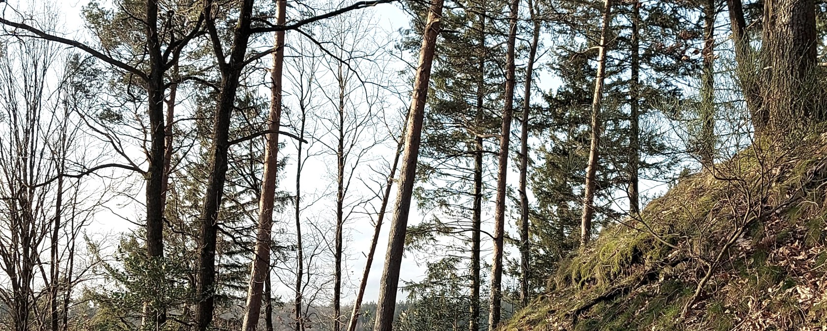 Februarweg (co) Theißen-Braun Februarweg (co) Theißen-Braun