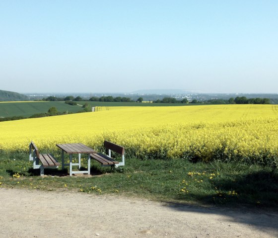 Path through the flowering pasture, © Rureifel-Tourismus e.V. Path through the flowering pasture, © Rureifel-Tourismus e.V.