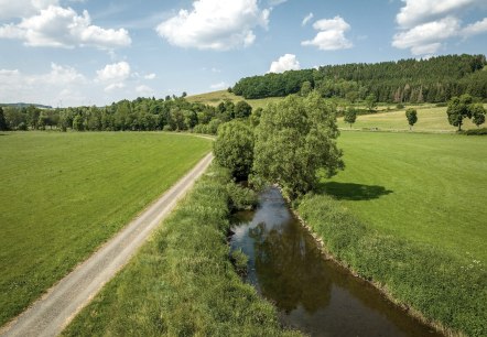 Die Kyll, © Eifel Tourismus, Dominik Ketz Die Kyll, © Eifel Tourismus, Dominik Ketz