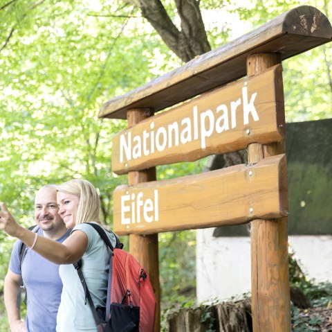 Durch den Nationalpark Eifel, © Eifel Tourismus GmbH, AR-shapefruit AG Durch den Nationalpark Eifel, © Eifel Tourismus GmbH, AR-shapefruit AG