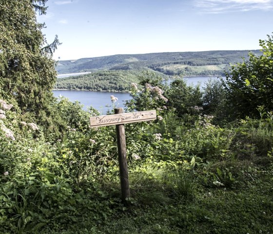 Ferienhaus Waldhaus Anne Seeweg Ferienhaus Waldhaus Anne Seeweg