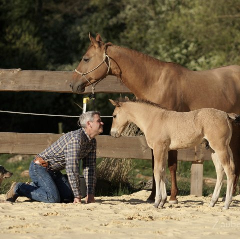 Bernd Hackl, © Zauberwaldfoto / Martina Tiedemann Bernd Hackl, © Zauberwaldfoto / Martina Tiedemann