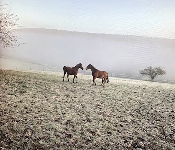 hat Gold im Mund! hat Gold im Mund!