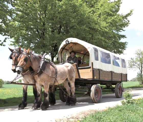 Planwagenfahrten Ungermann, © Gottfried Carls Planwagenfahrten Ungermann, © Gottfried Carls