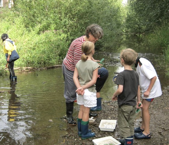 Bach 12, © Nordeifel Tourismus GmbH & Jugwndgästehaus Nettersheim Bach 12, © Nordeifel Tourismus GmbH & Jugwndgästehaus Nettersheim