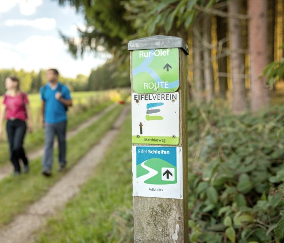 In the background, two people are hiking along a green trail; in the foreground is a signpost with three directional signs., © Eifel Tourismus GmbH, Dominik Ketz In the background, two people are hiking along a green trail; in the foreground is a signpost with three directional signs., © Eifel Tourismus GmbH, Dominik Ketz
