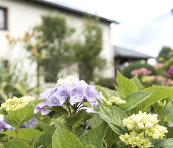 Eingang_1, © Stefanie Laville & Nordeifel Tourismus GmbH Eingang_1, © Stefanie Laville & Nordeifel Tourismus GmbH