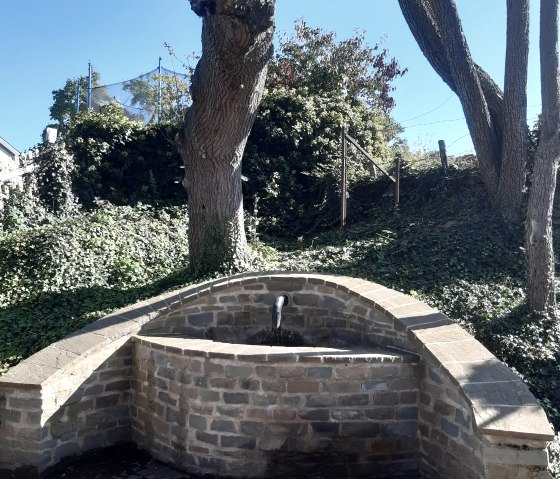 20211008_131716, © Annette Rosen-Roevenich & Nordeifel Tourismus GmbH 20211008_131716, © Annette Rosen-Roevenich & Nordeifel Tourismus GmbH