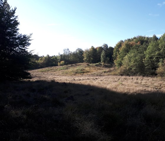 Auf dem Wanderweg, © Jens Mieckley Auf dem Wanderweg, © Jens Mieckley