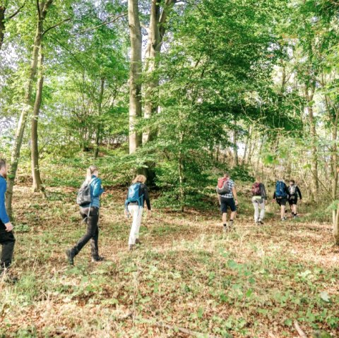 Hiking in the Northern Eifel, © Paul Meixner Hiking in the Northern Eifel, © Paul Meixner