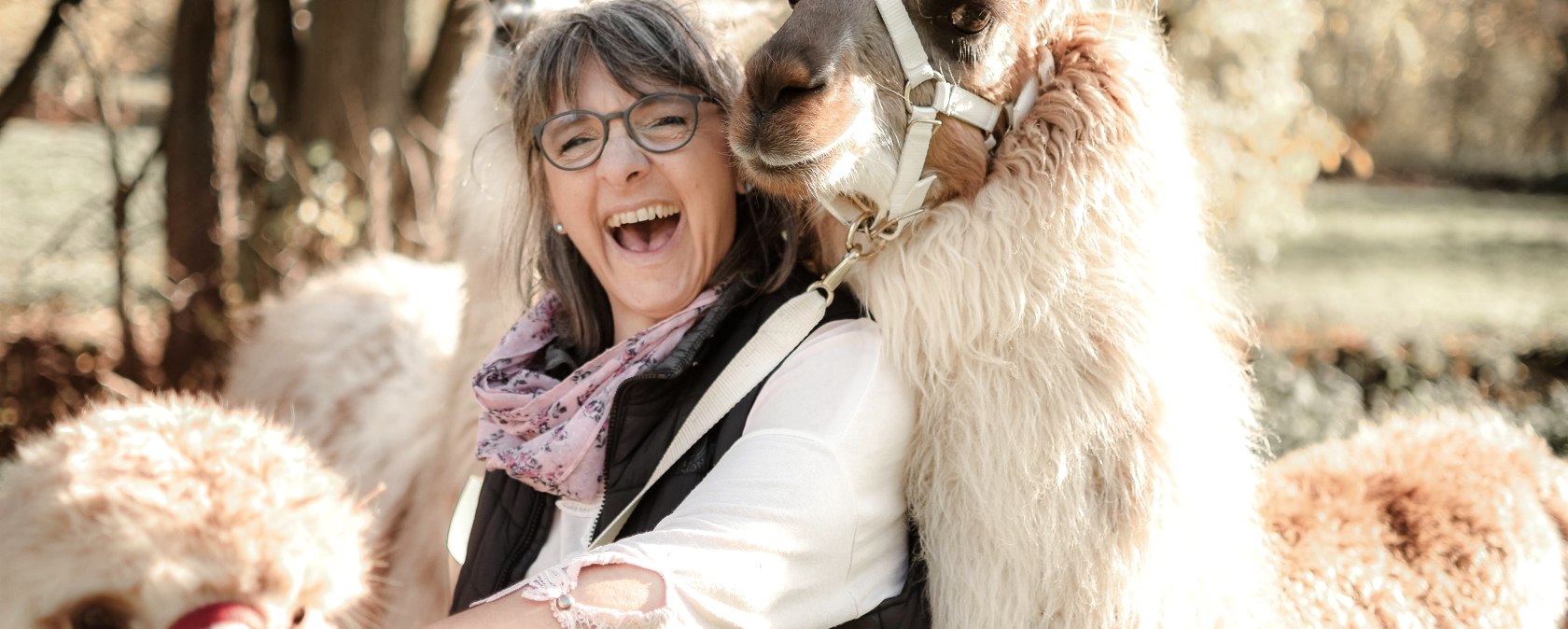 Llama, © julia Samans Llama, © julia Samans