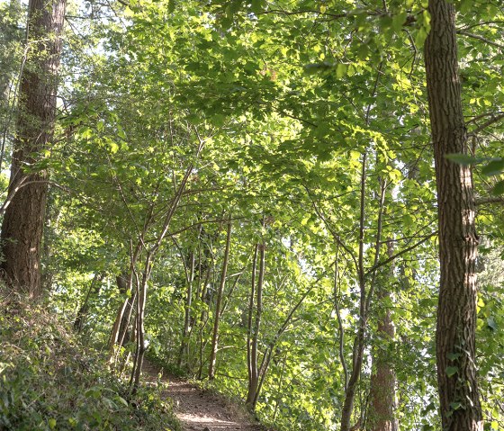 Entdeckungspfad Nideggen - Schüdderfeld, © Rureifel Tourismus GmbH, Lilli Kommer Entdeckungspfad Nideggen - Schüdderfeld, © Rureifel Tourismus GmbH, Lilli Kommer